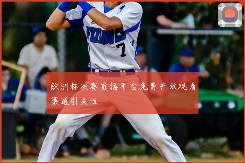 欧洲杯决赛直播平台免费开放观看渠道引关注