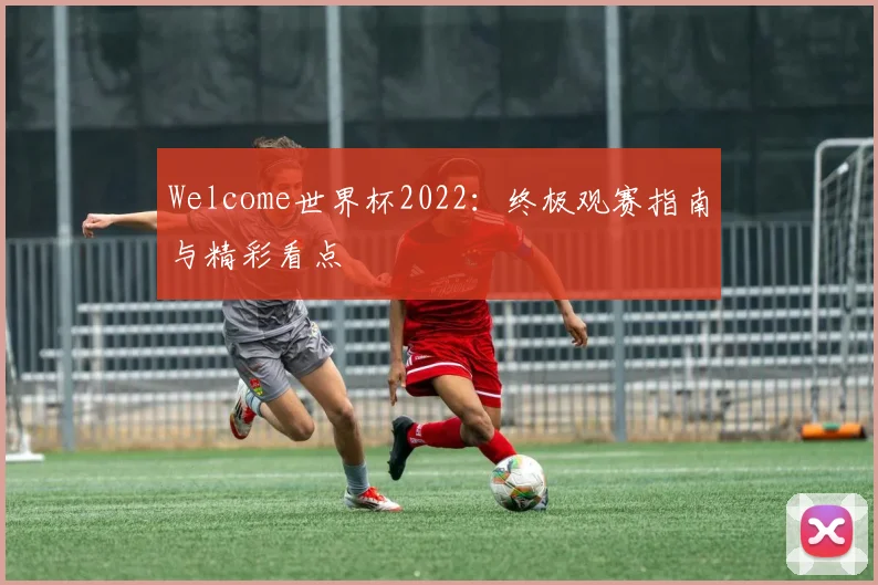 Welcome世界杯2022：终极观赛指南与精彩看点