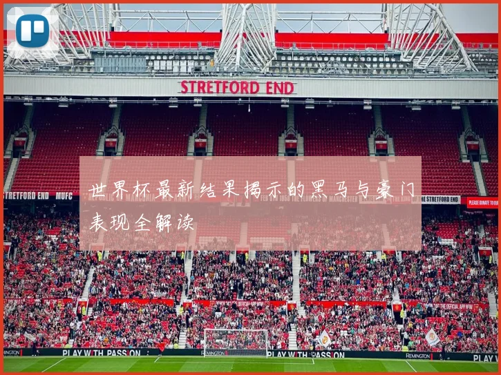 世界杯最新结果揭示的黑马与豪门表现全解读