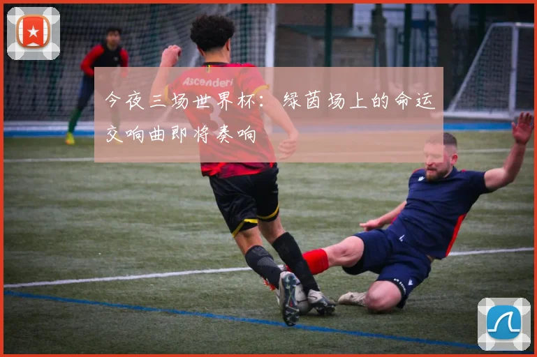 今夜三场世界杯：绿茵场上的命运交响曲即将奏响
