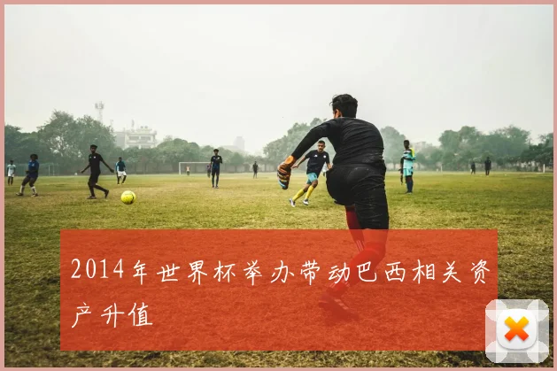 2014年世界杯举办带动巴西相关资产升值