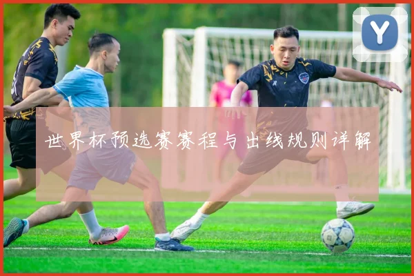 世界杯预选赛赛程与出线规则详解
