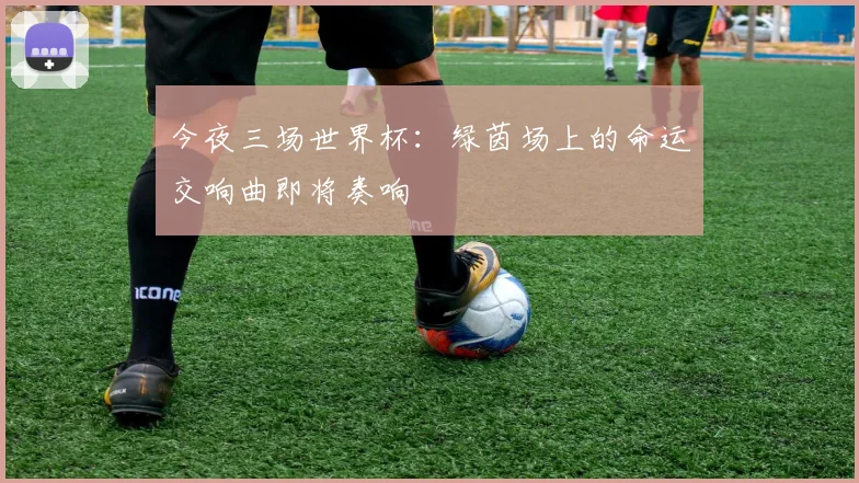 今夜三场世界杯：绿茵场上的命运交响曲即将奏响