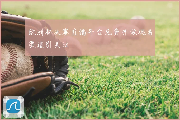 欧洲杯决赛直播平台免费开放观看渠道引关注