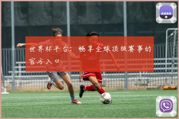 世界杯平台：畅享全球顶级赛事的官方入口