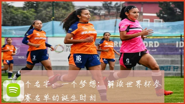 个名字，一个梦想：解读世界杯参赛名单的诞生时刻