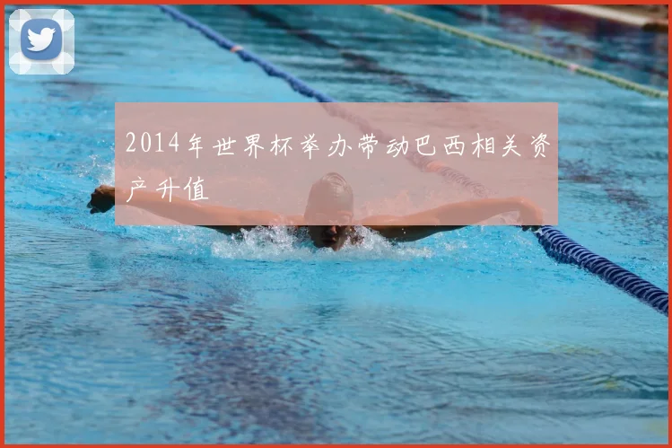 2014年世界杯举办带动巴西相关资产升值