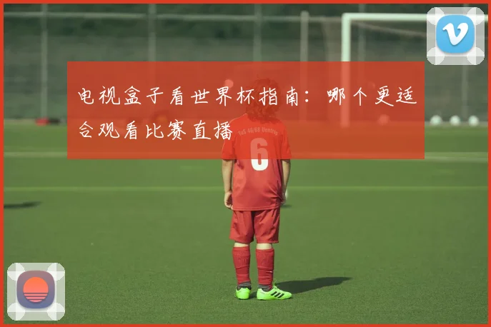 电视盒子看世界杯指南：哪个更适合观看比赛直播