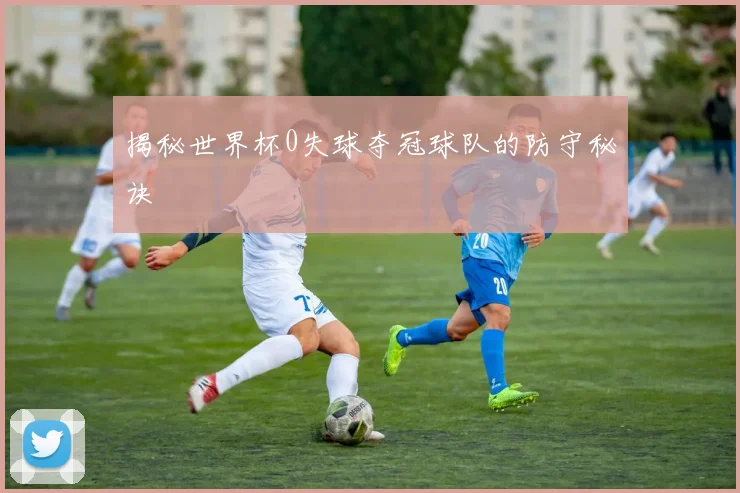 揭秘世界杯0失球夺冠球队的防守秘诀
