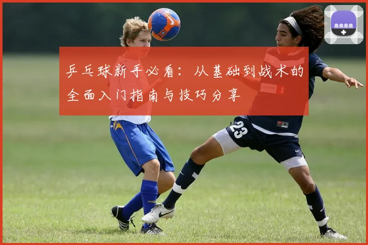 乒乓球新手必看：从基础到战术的全面入门指南与技巧分享